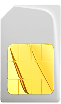 SIM card