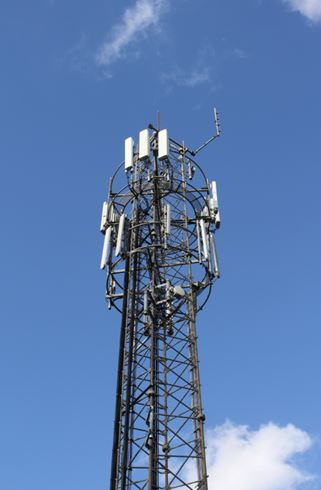 Network mast