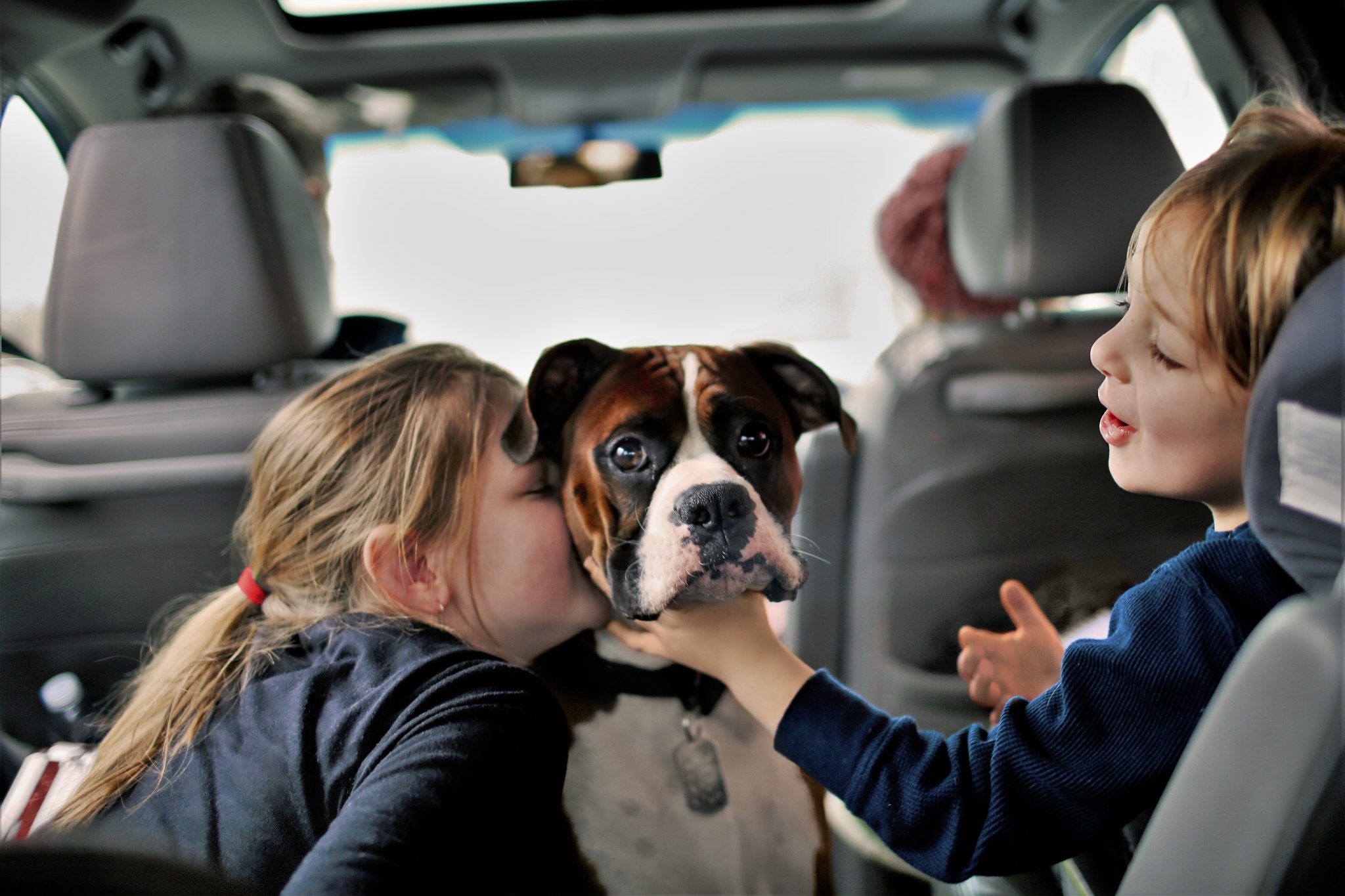 photo of children play with their dog in the backseat of their car