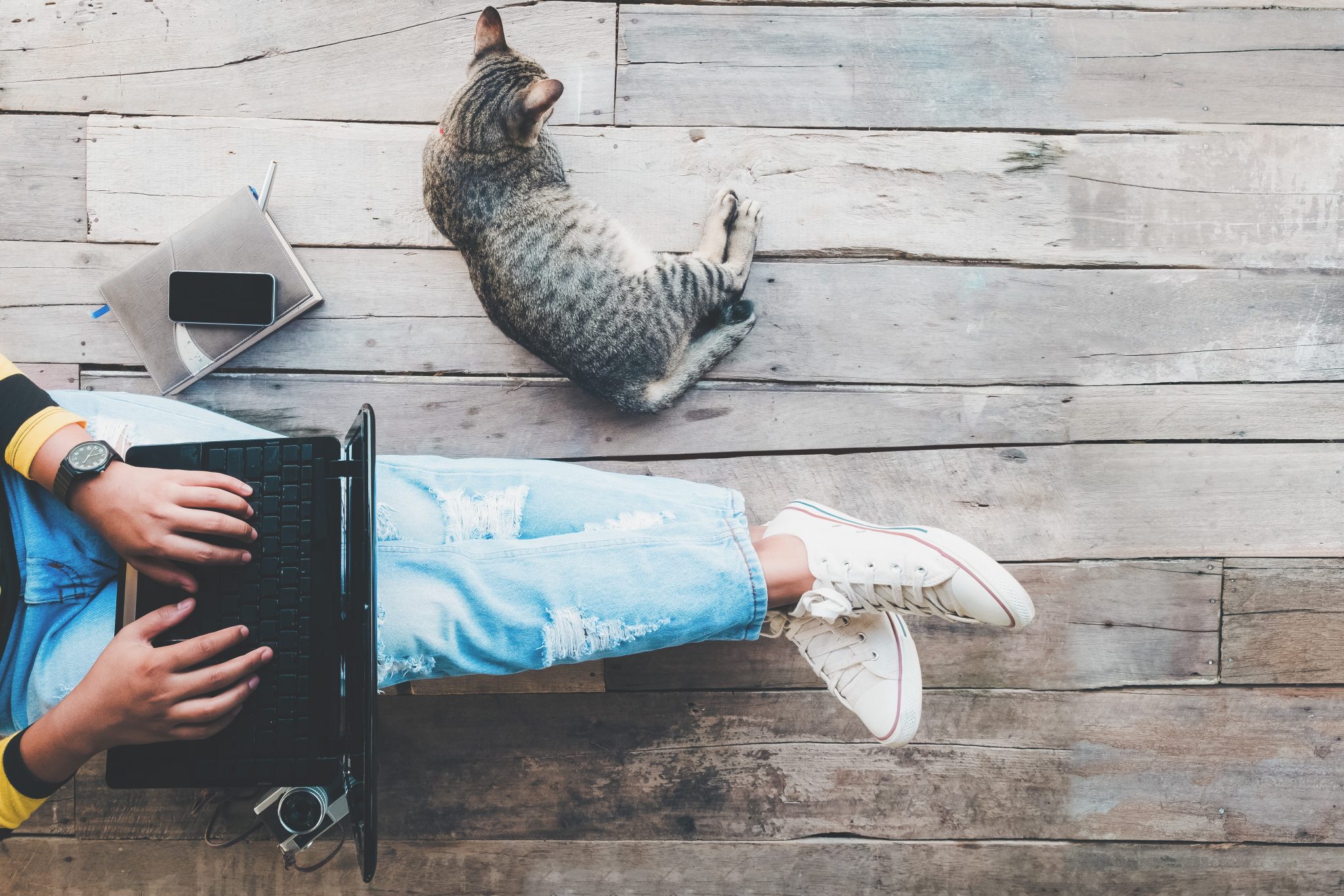 Girl in jeans working on the laptop computer assisted by her cat on the wooden floor.