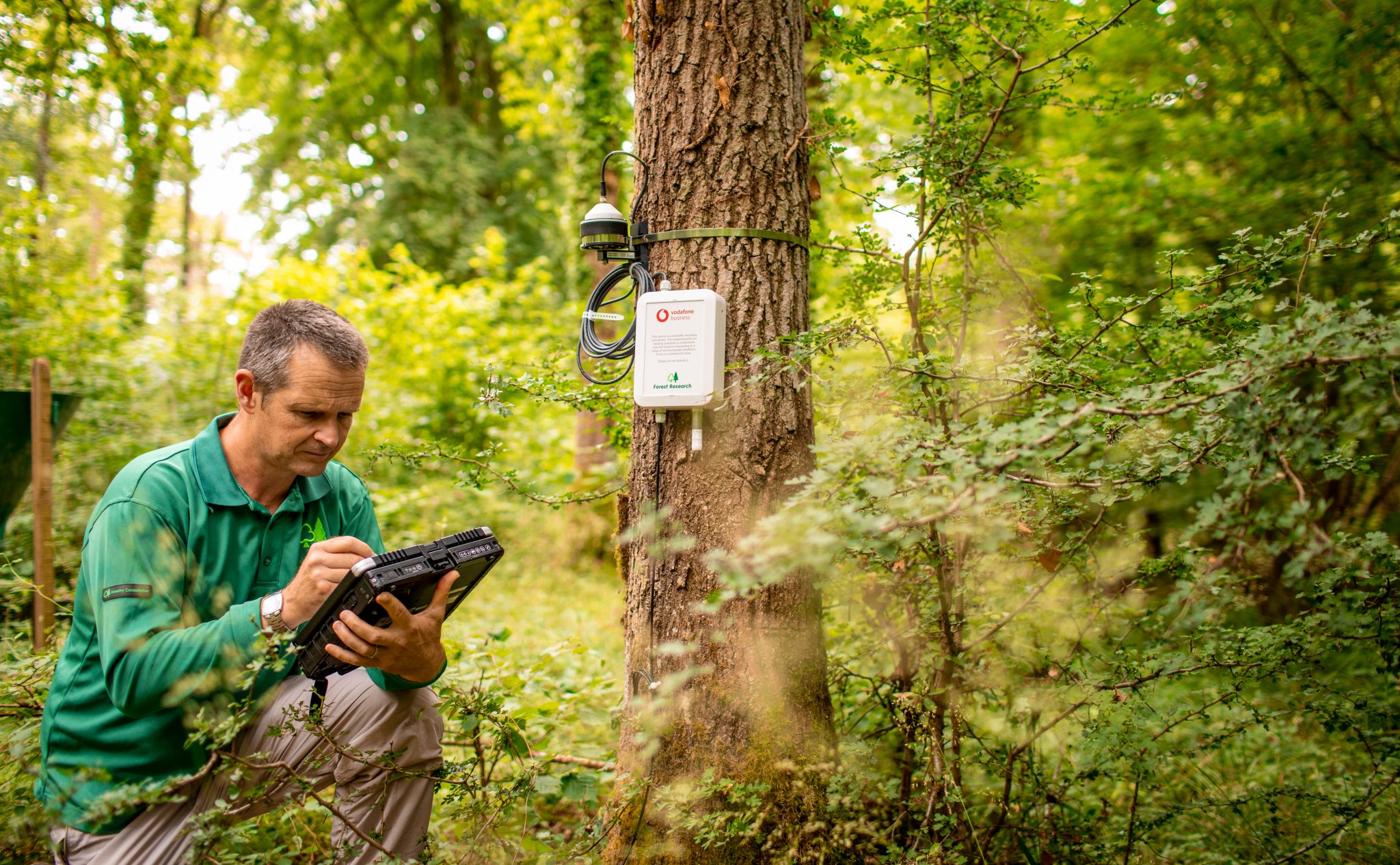 photo of Matthew Wilkinson kneeling in the Alice Holt Forest next to a Vodafone IoT sensor