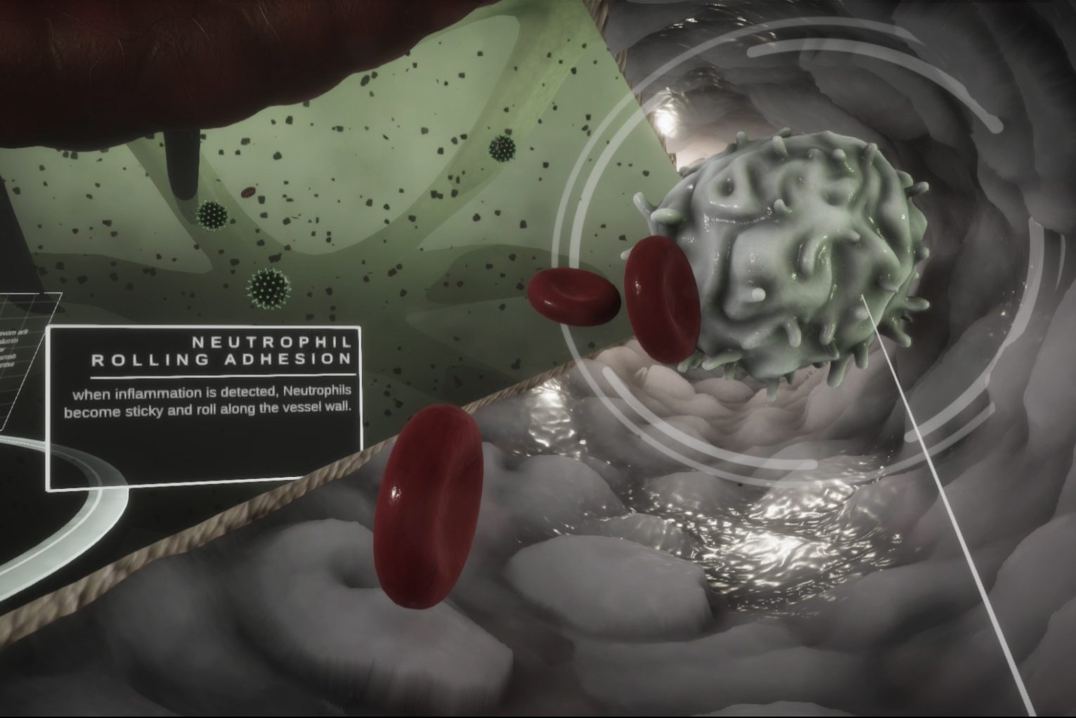 Still from virtual reality graphic showing a human vein