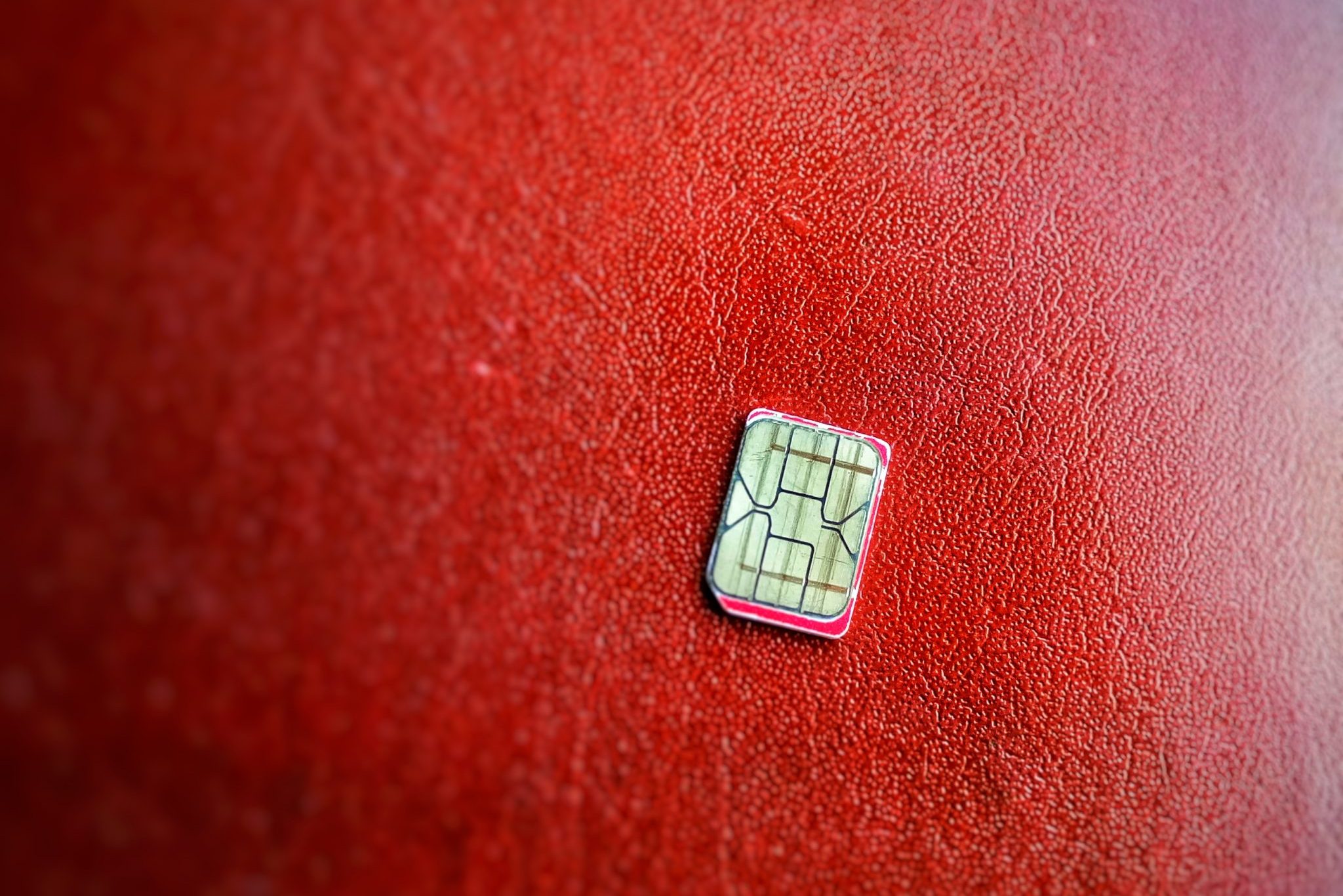 SIM card on red surface