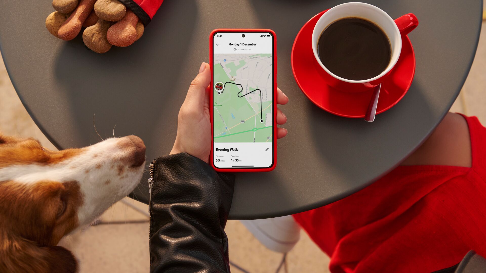 Image of someone using the Vodafone Smart App with V-Pet.