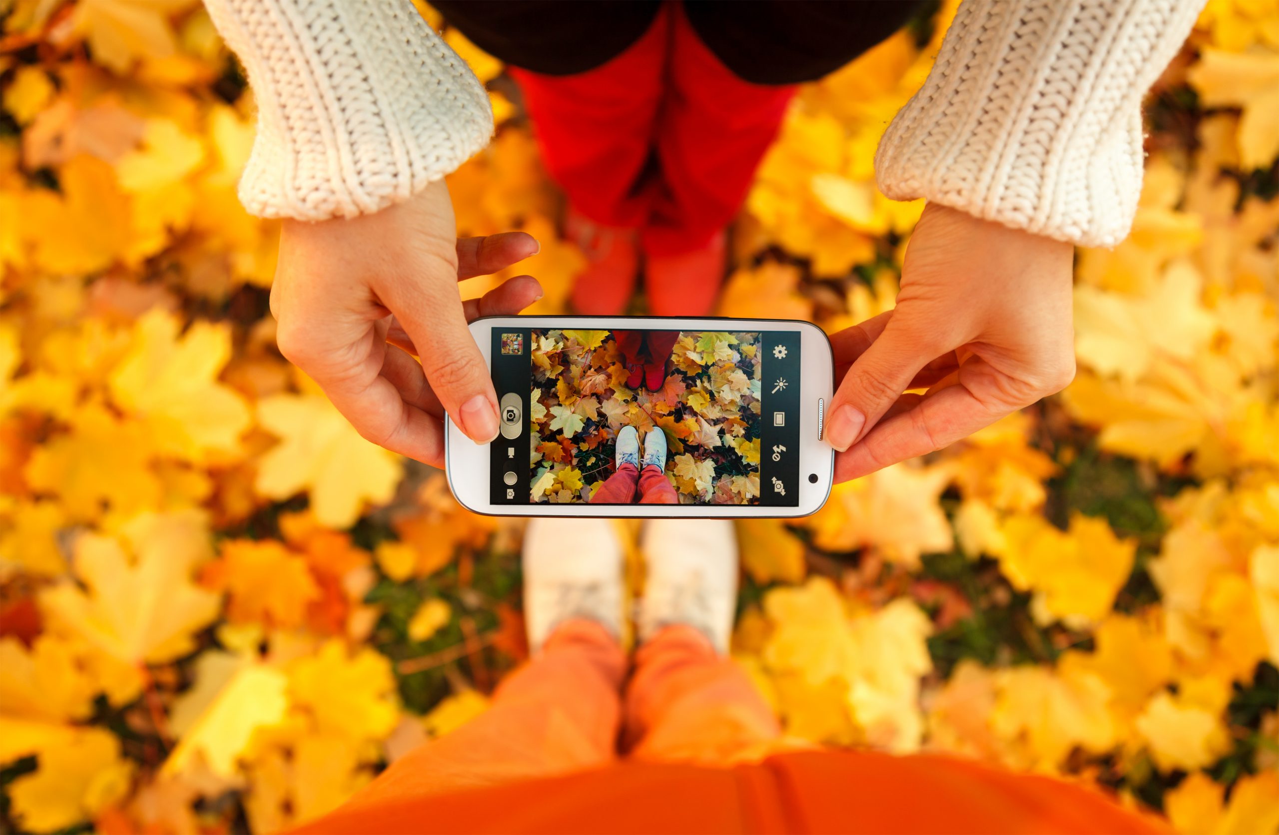 Autumn leaves as seen through smartphone camera
