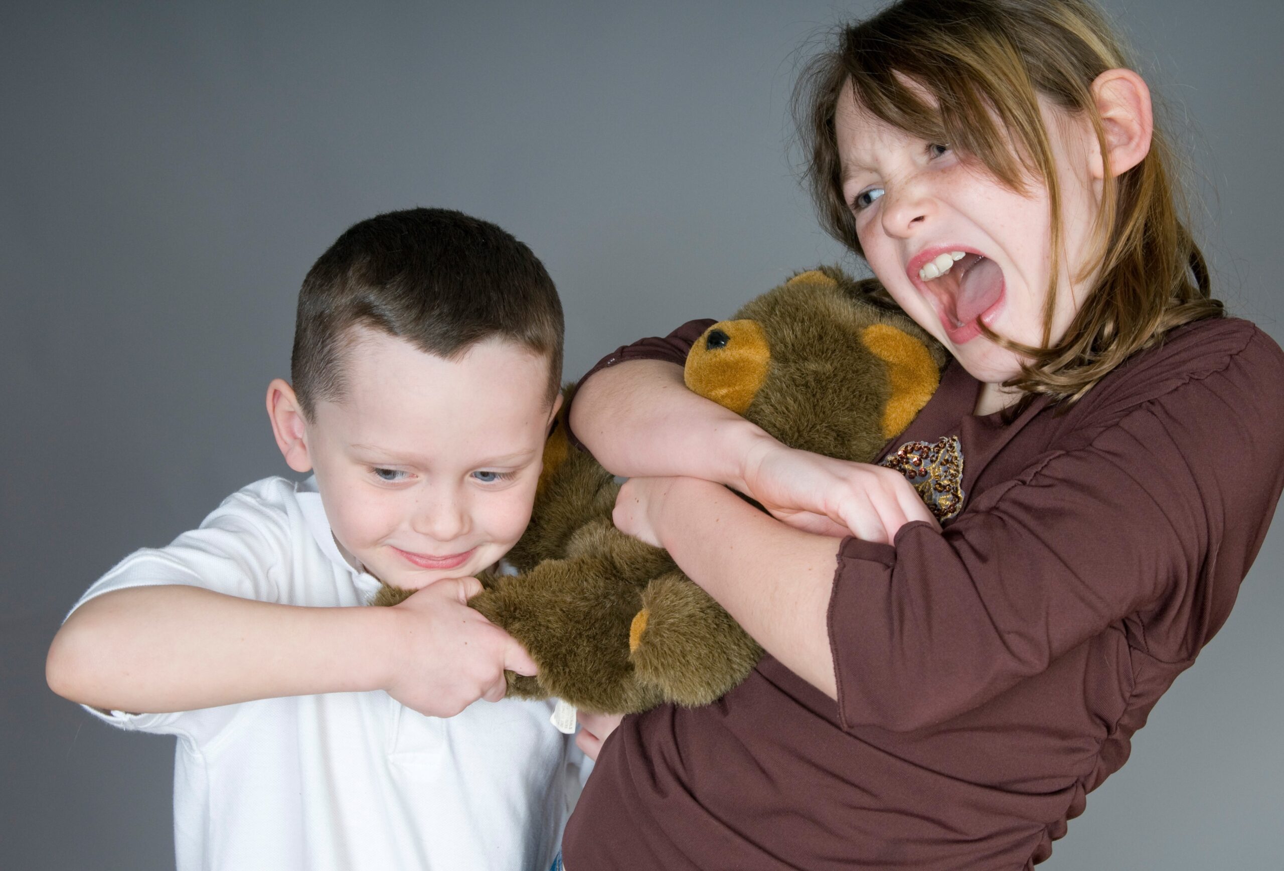Boy and girl fighting over teddy bear