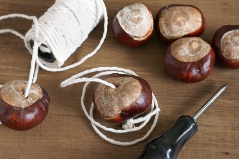 Conkers and string on a table