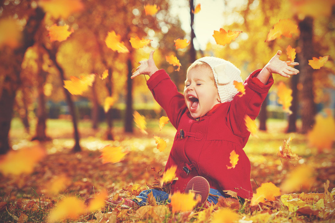 Child playing in the autumn leaves
