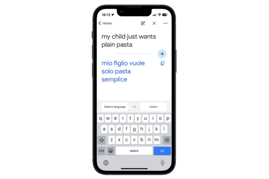 screenshot showing the Google Translate app running on an iPhone 13 mini