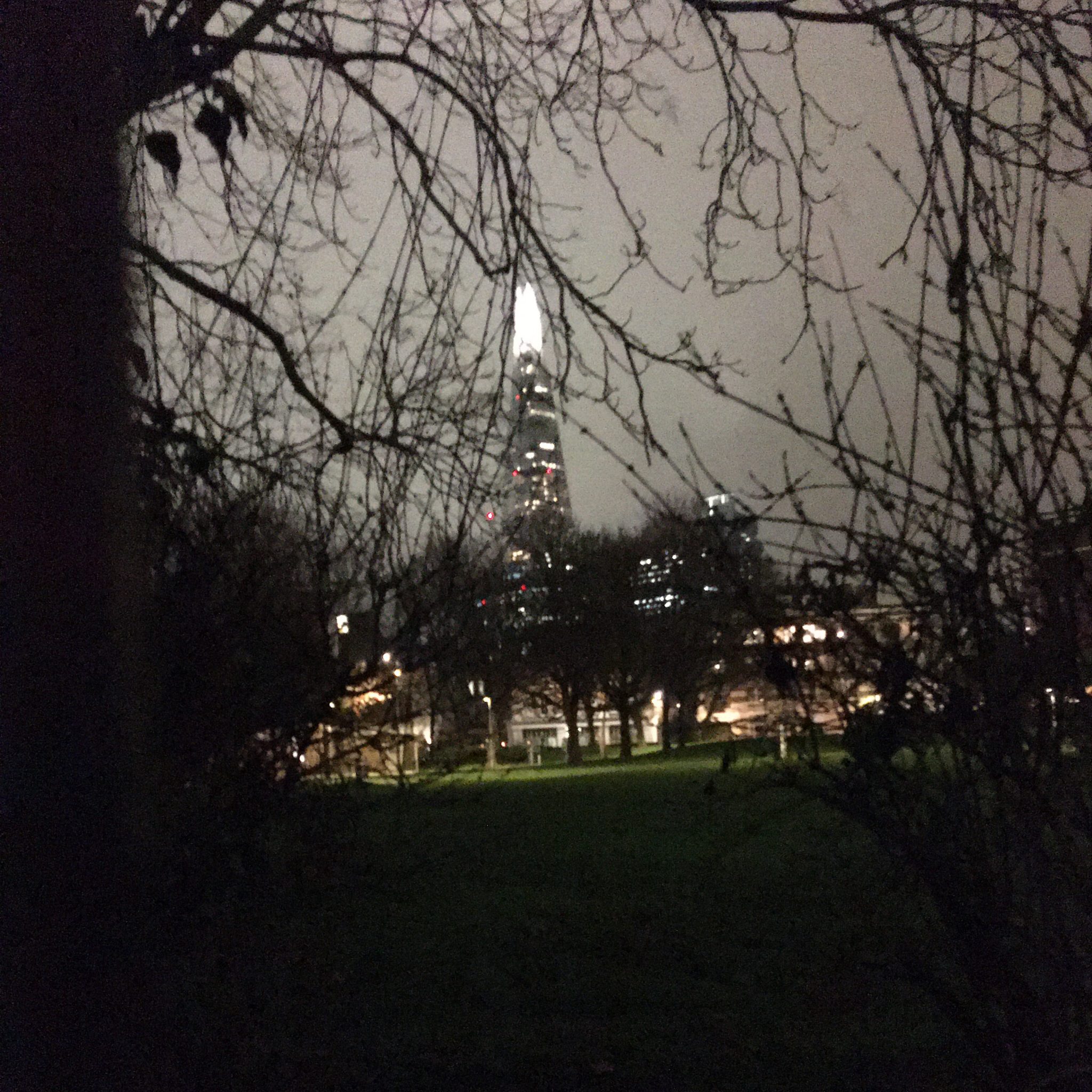 example of a shaky, blurry low-light photo taken on a smartphone example of a shaky, blurry low-light photo taken on a smartphone
