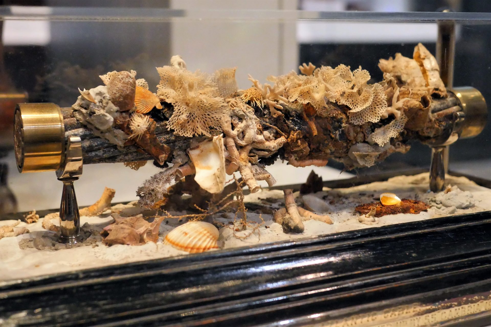 Deep sea cables have to survive not only the attentions of marine life, but the intense pressure and frigid temperatures deep below the waves. This barnacle-encrusted segment of the 1875 transatlantic telegraph cable is on display in the Information Age gallery at the Science Museum, London.