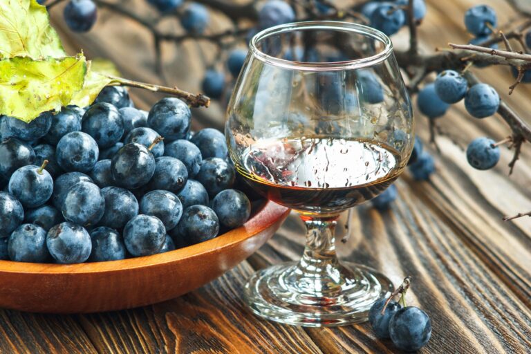 Glass of sloe gin next to bowl of sloes