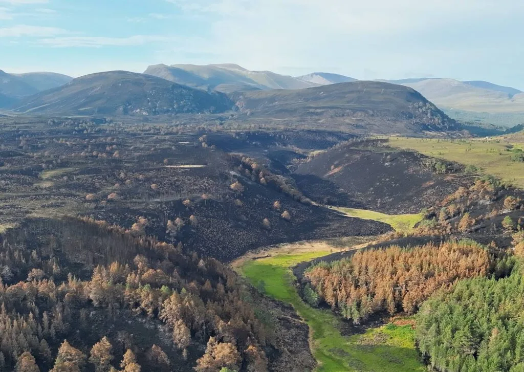RS54986_DJI_20260812074508_0004_V Aerial view of a valley showing extensive areas of black, burnt land alongside patches of green grass and a mix of burnt brown and healthy green trees, with mountains in the background.