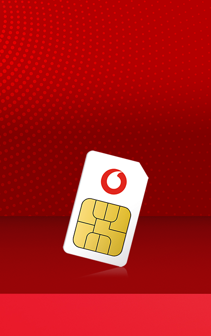1GB + 1 Months